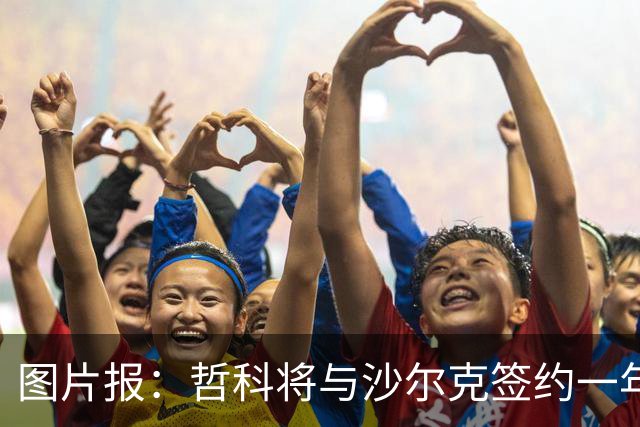 图片报：哲科将与沙尔克签约一年，年薪130万欧元
