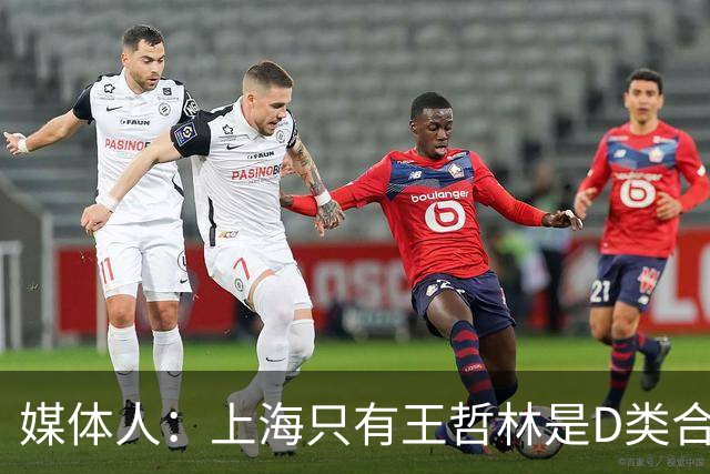 媒体人：上海只有王哲林是D类合同 剩余两个顶薪或给张镇麟李弘权