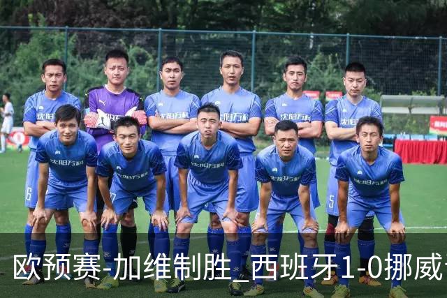 欧预赛-加维制胜 西班牙1-0挪威晋级欧洲杯正赛