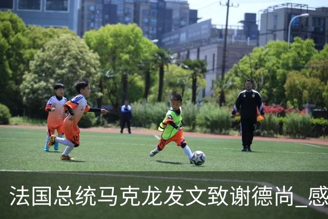 法国总统马克龙发文致谢德尚 感谢他带来的传奇胜利